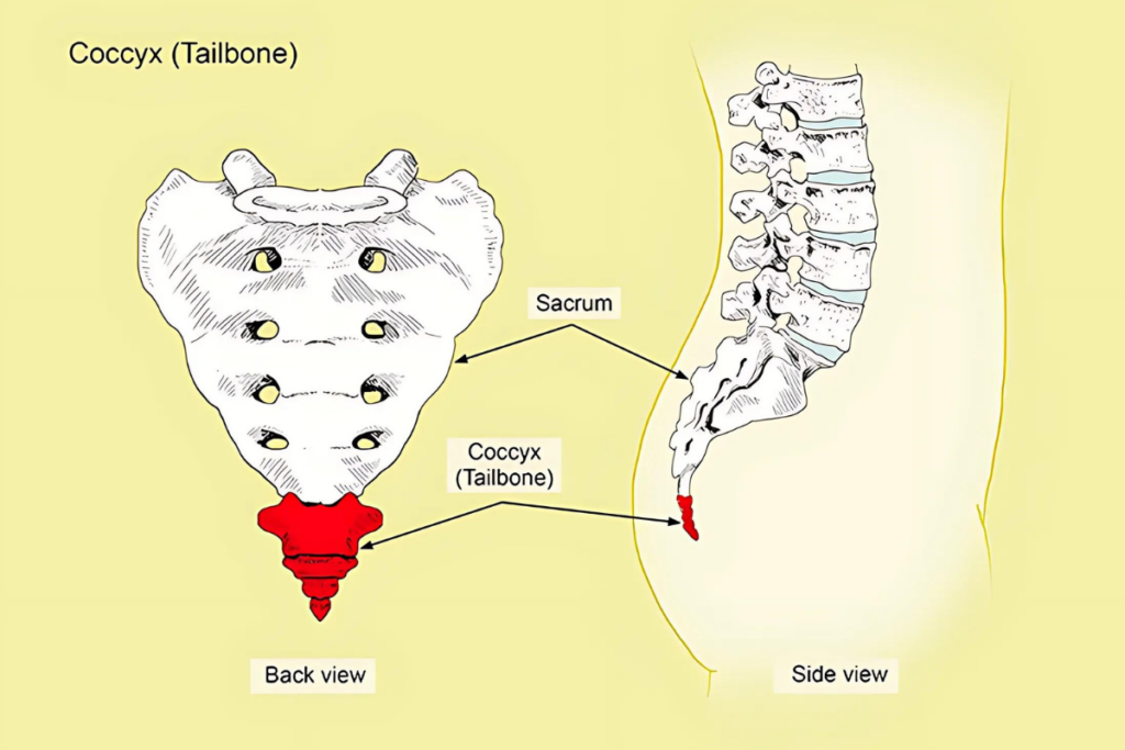 Tailbone pain