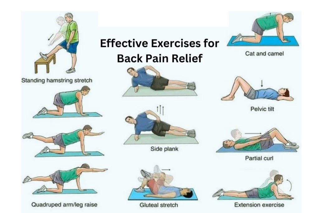 Effective Exercises for Back Pain Relief