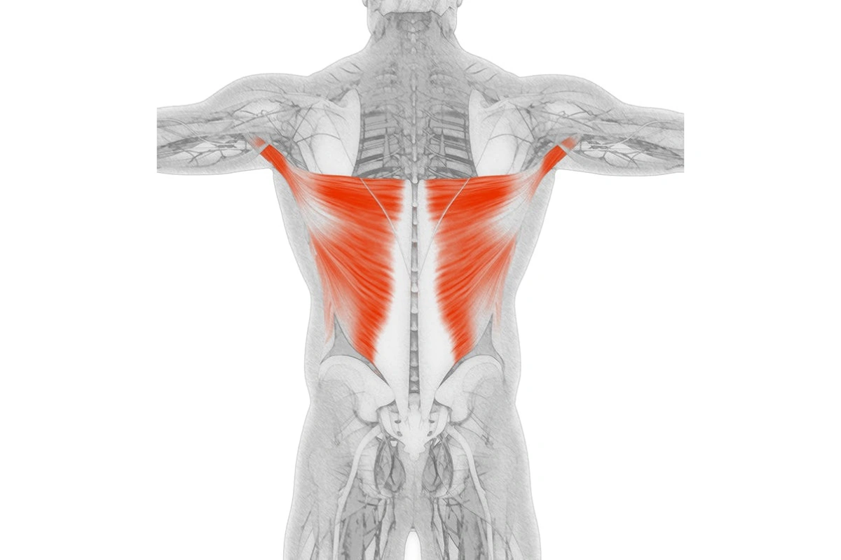 Latissimus Dorsi Stretch