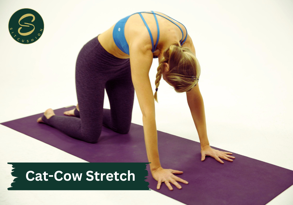 Cat-Cow Stretch