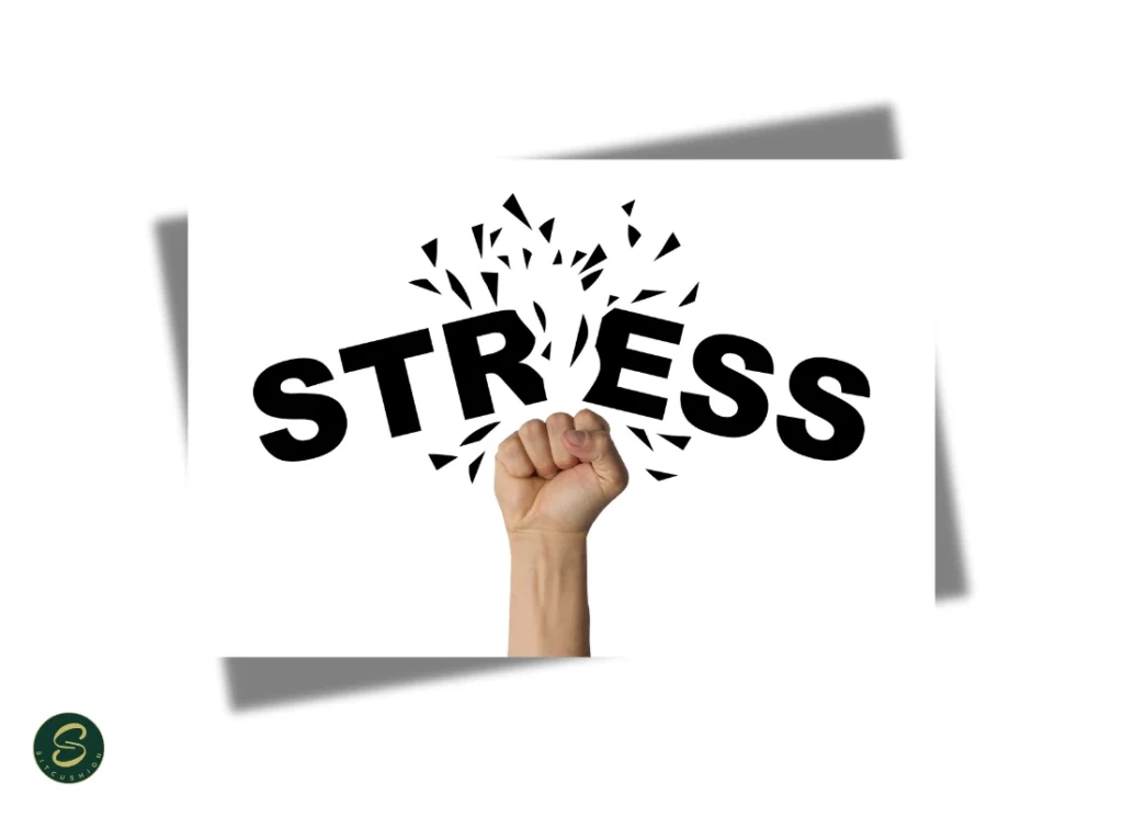 Manage Stress and Anxiety for Better Health