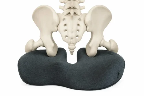 What Is a Coccyx Cushion and What Is It Used For
