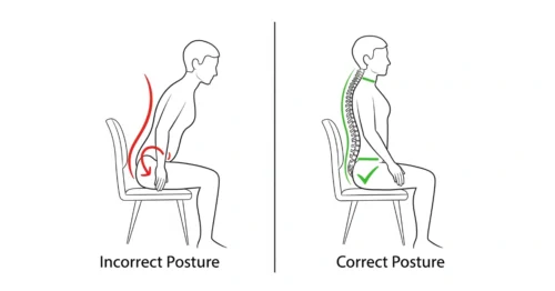 Anatomy of Alignment_ Discover the different types of posture-correcting cushions and how they work