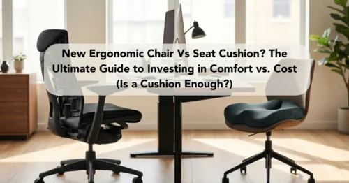 New Ergonomic Chair Vs Seat Cushion_ The Ultimate Guide to Investing in Comfort vs. Cost (Is a Cushion Enough_)