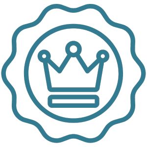 Premium Memory Foam seat cushion