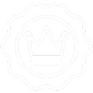 Premium Memory Foam seat cushion | Sitcushion