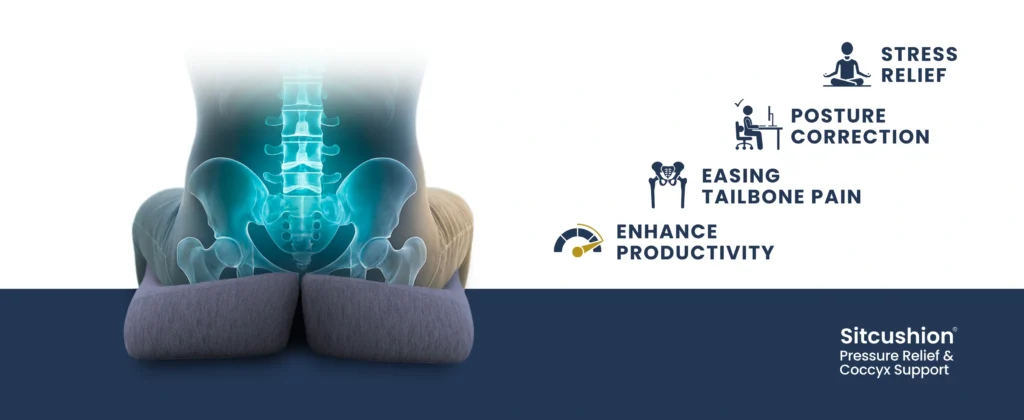 pressure relief and coccyx support_Sitcushion
